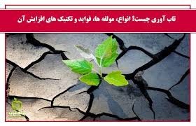 اخبار و اطلاعیه